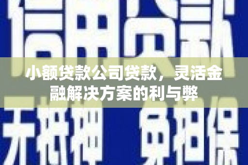 揭东小额贷款公司贷款，灵活金融解决方案的利与弊