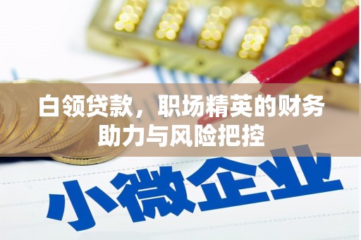 揭东白领贷款,职场精英的财务助力与风险把控 揭东白领贷款,职场精英的财务助力与风险把控